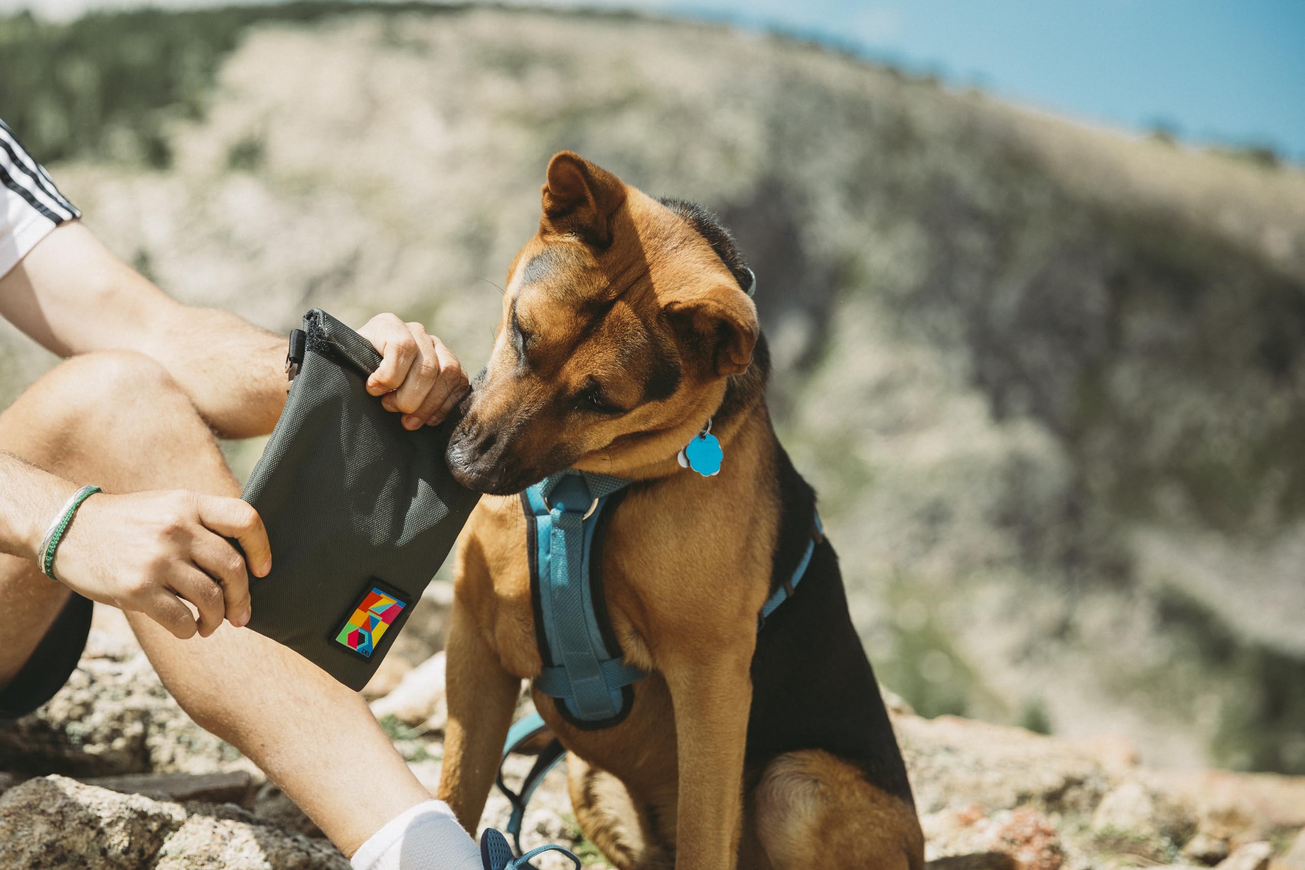 DIME BAGS Odor Sealing Pouch, Interior Lined with Carbon Filter to Block Scents, Dual Hook-and-Loop Closure, Water-Resistant, Smell/Spill Proof, Lightly Padded Capo (7 Inch, Black) - Image 4